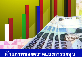 ศักยภาพของตลาดและการลงทุน